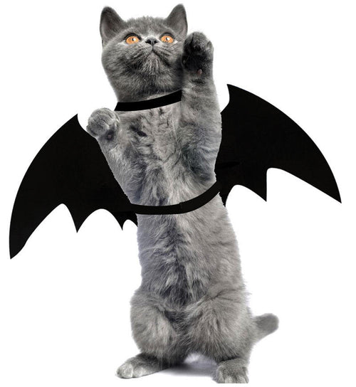 Bat Wings Pet Costume