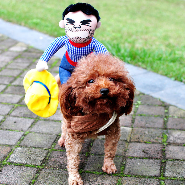 Headless Horseman Dog Costume
