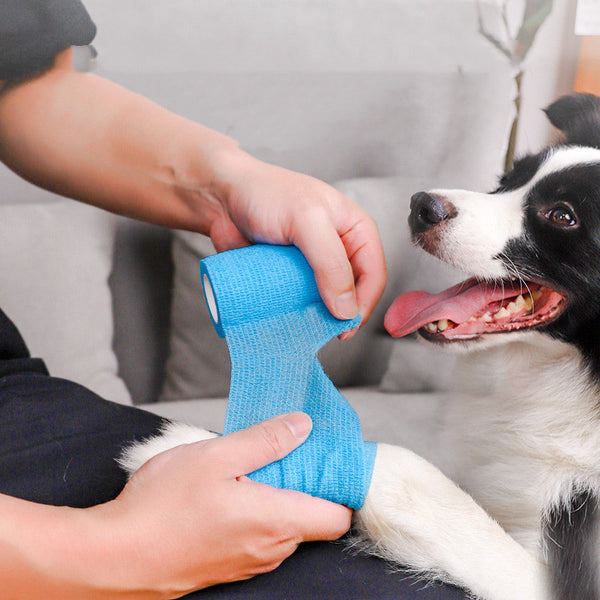 Self-Adhesive Pet Bandage Wrap – Breathable & Tear by Hand