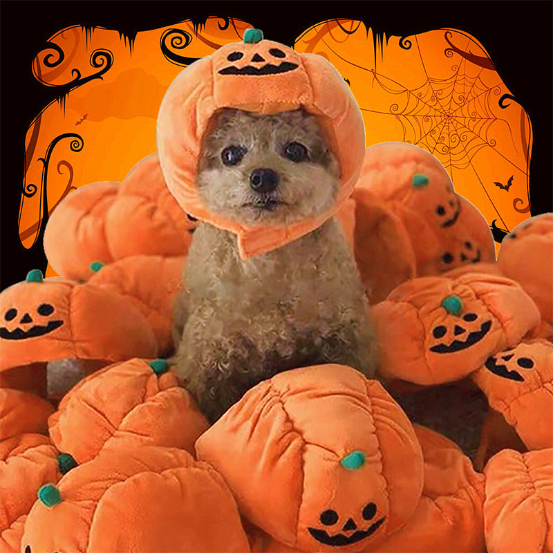Pumpkin Hat for Dogs & Cats